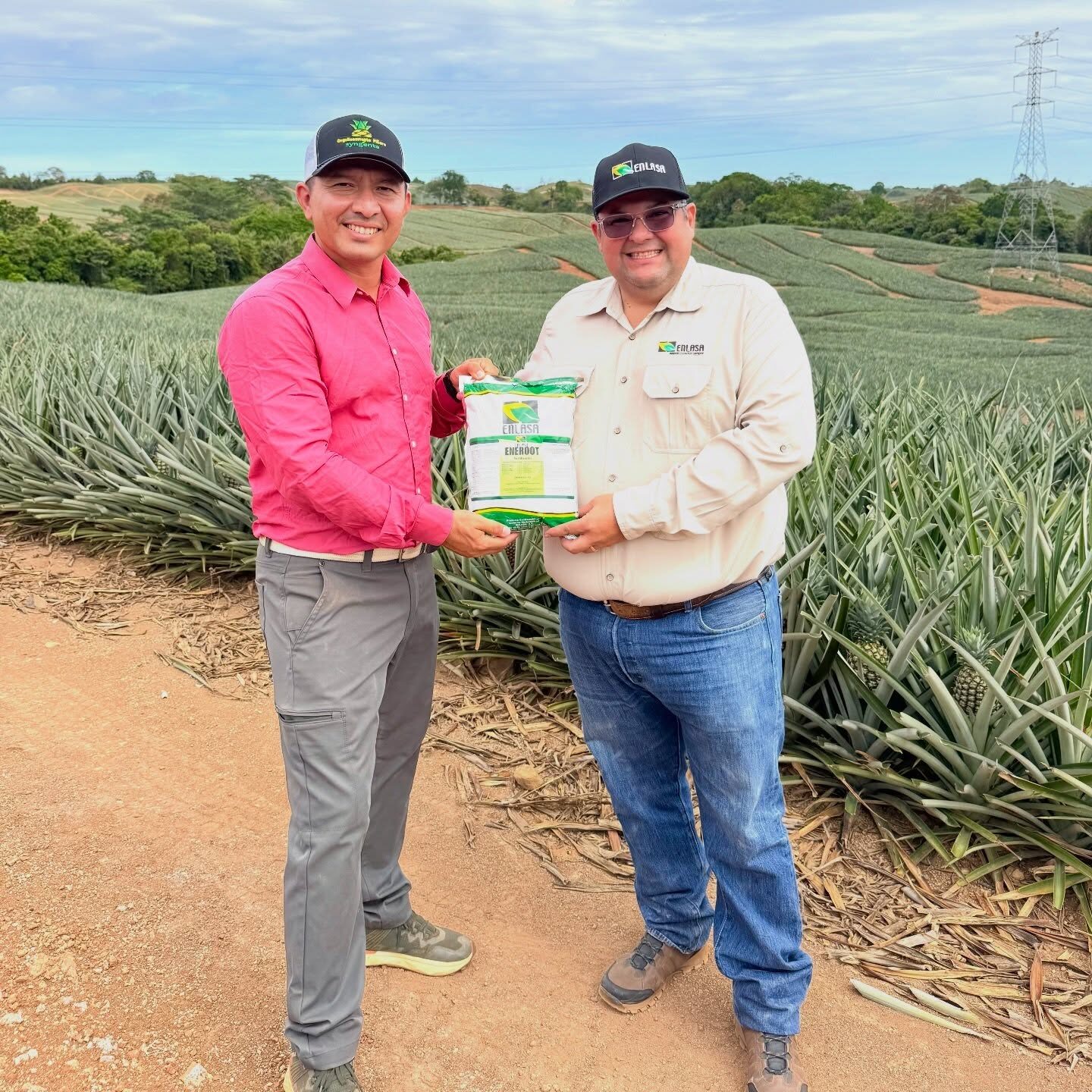 Asesor y productor con productos Enlasa