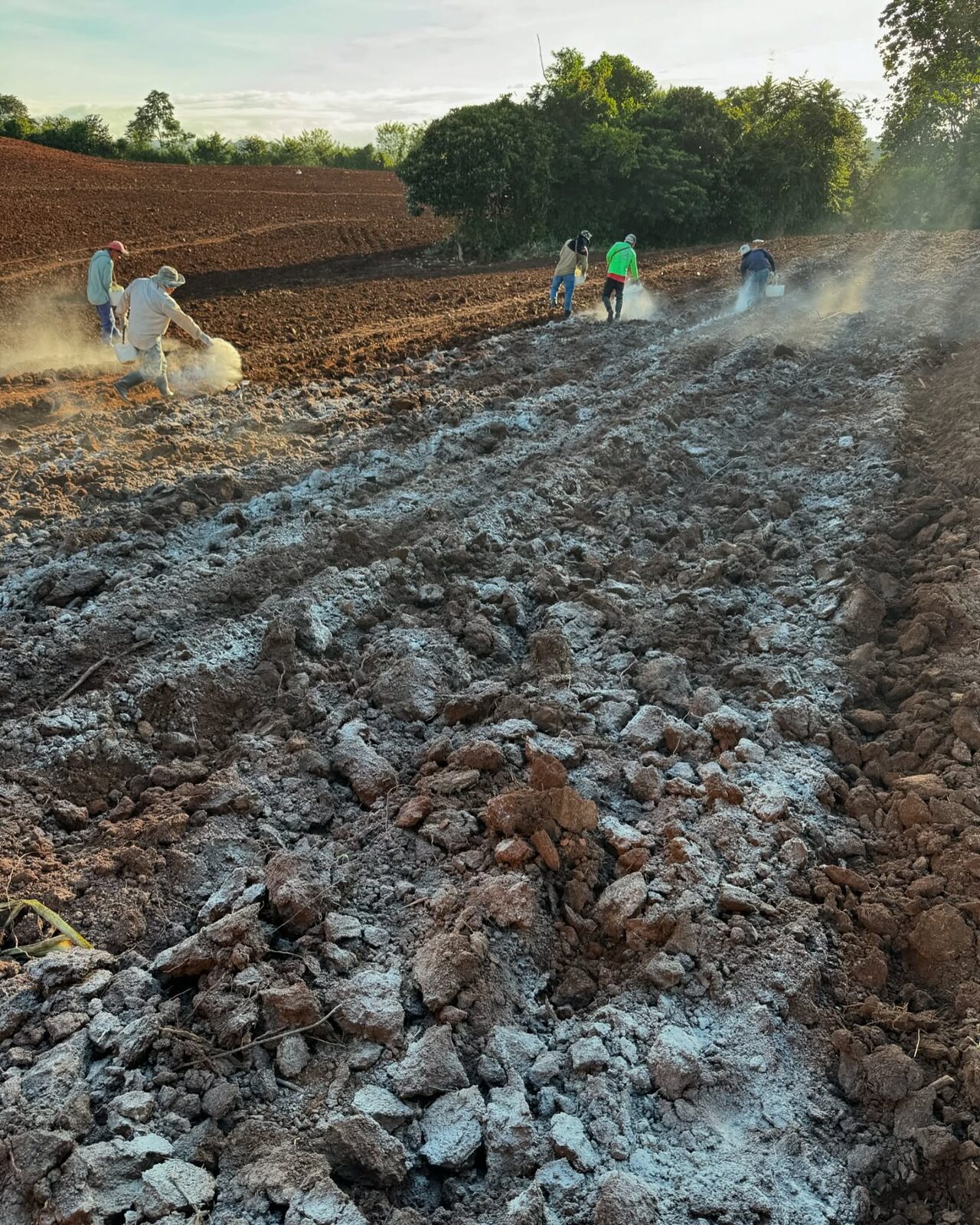 Preparación de suelo en campo